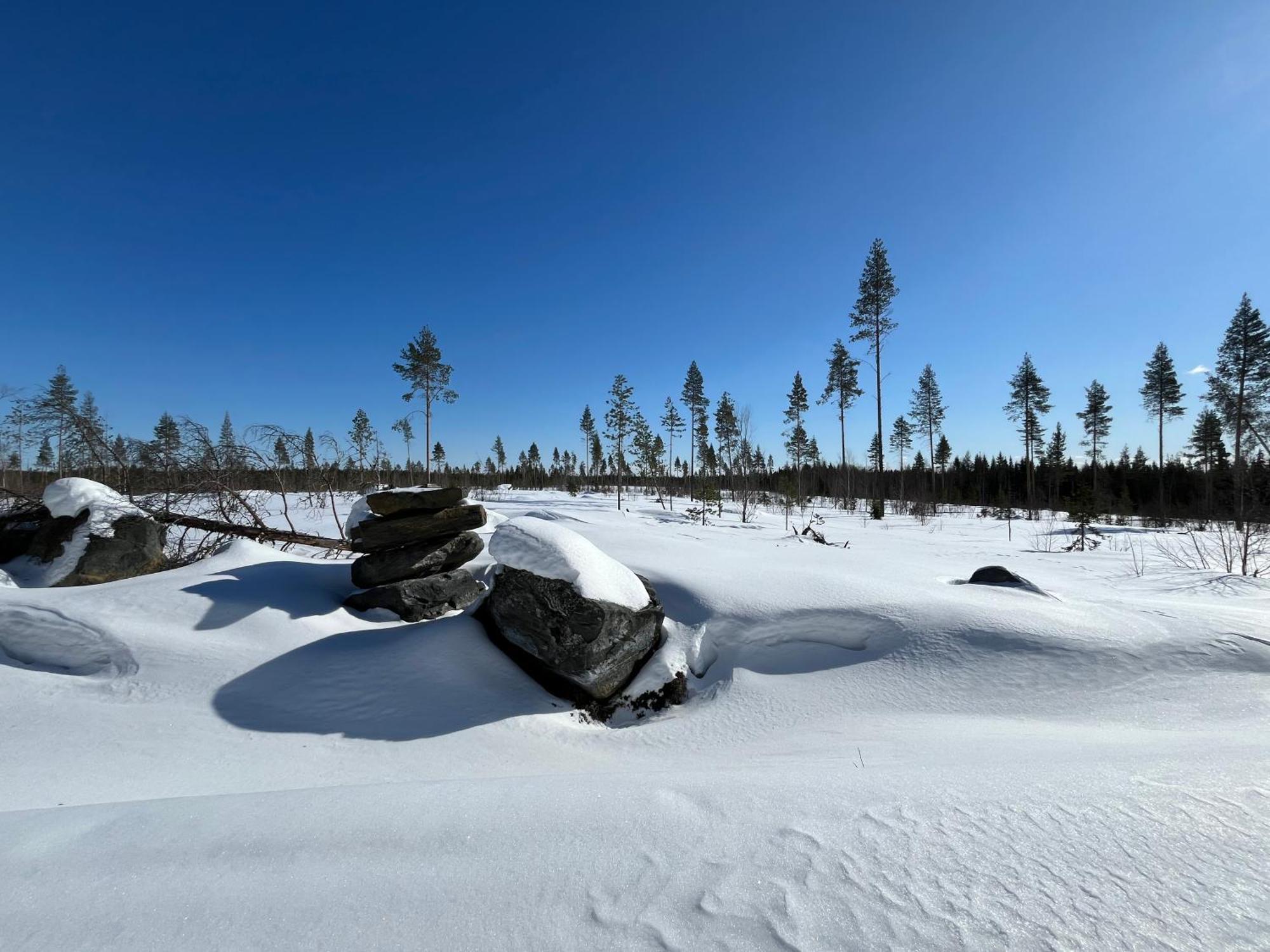 Log Cottages In 10 Min From Santa Claus Village-Sauna&Freeparking Rovaniemi Extérieur photo