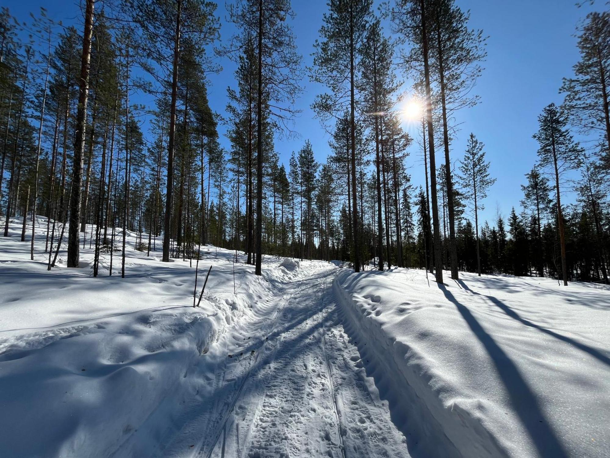 Log Cottages In 10 Min From Santa Claus Village-Sauna&Freeparking Rovaniemi Extérieur photo